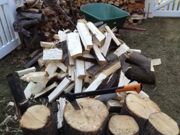 [Hearth.com] First Scrounge with pics