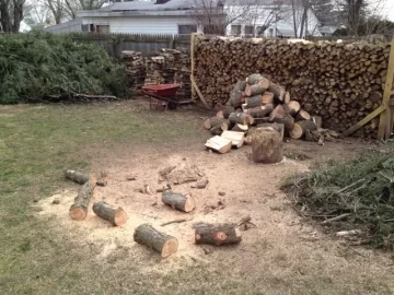 [Hearth.com] Some Backyard Lumberjackin...