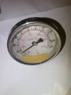 [Hearth.com] DHW Pasco Temperature Guage got water logged!!!