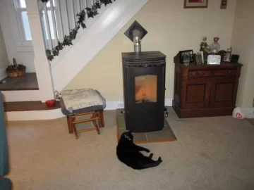 [Hearth.com] Some Mini Pics