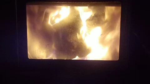 [Hearth.com] BK t-stat and view of fire.