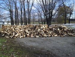 My woodpile, b4 stacking and what is that in the background...