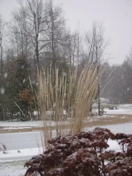 [Hearth.com] Not snowing yet......