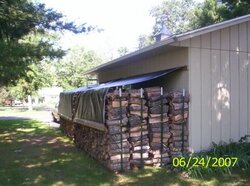 this could get intersting... ideas on storing firewood