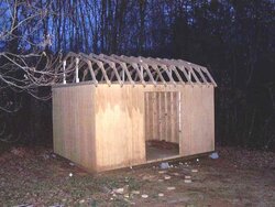 Shed Construction Pictures