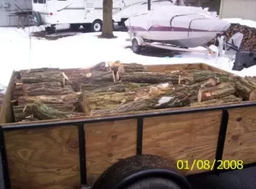 [Hearth.com] Black Locust Scrounge