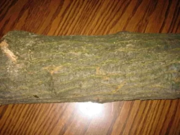 [Hearth.com] Burning Boxwood