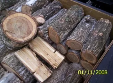 [Hearth.com] What Kind Of Firewood Is This?