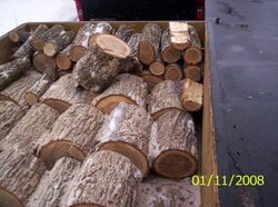 What Kind Of Firewood Is This?
