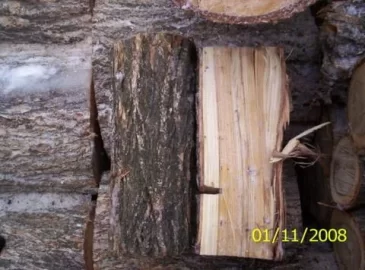 [Hearth.com] What Kind Of Firewood Is This?
