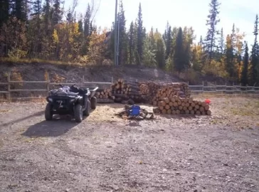 [Hearth.com] Is Pine