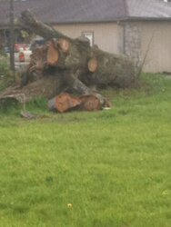 Log jack for tree trunks larger than 24"?