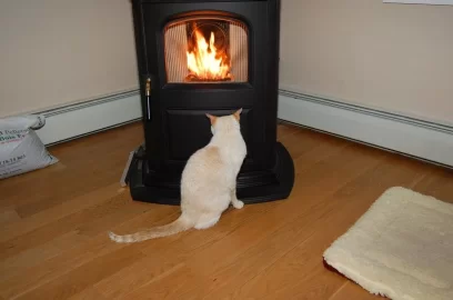 [Hearth.com] Warm Cat By Accentra