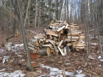 [Hearth.com] A little birch and maple