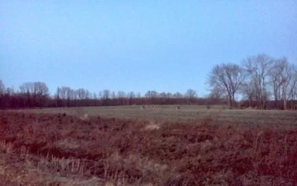 [Hearth.com] Thats a lot of deer!!!!