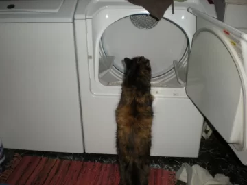 [Hearth.com] How come my wife won't let me do the laundry?