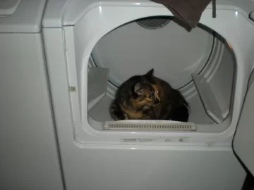 [Hearth.com] How come my wife won't let me do the laundry?