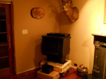 [Hearth.com] The Princess is in the basement.