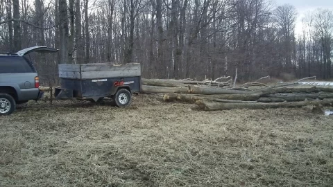 [Hearth.com] Bucking in February