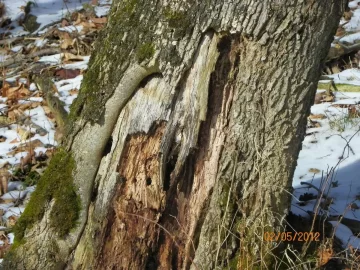 [Hearth.com] Last Week..............