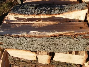 [Hearth.com] Red Elm?