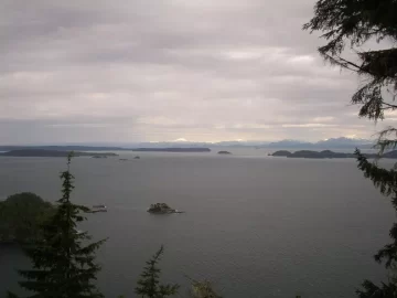 [Hearth.com] Went for a Hike