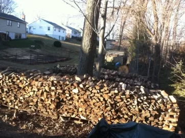 [Hearth.com] all re-stacked finally.