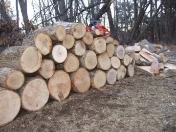 [Hearth.com] my biggest score yet