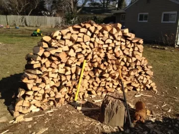 [Hearth.com] Eastern Hemlock