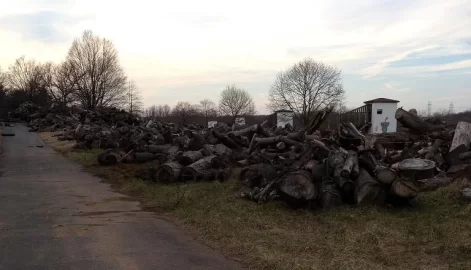[Hearth.com] What a waste!!!!