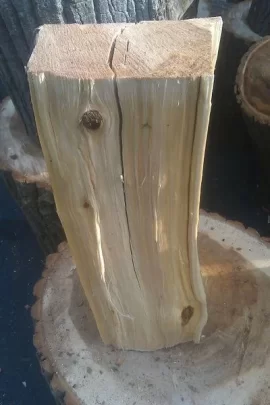 [Hearth.com] Nice score and a wood ID