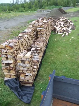 [Hearth.com] just starting my wood habit