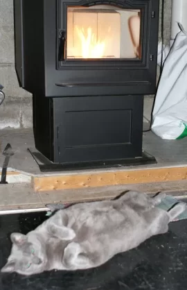 [Hearth.com] Momma Cat