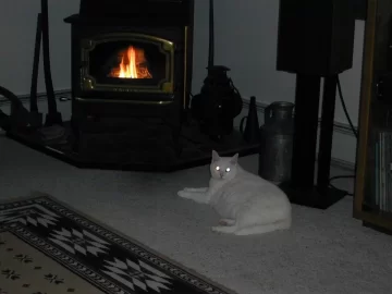 [Hearth.com] My first pellet stove!