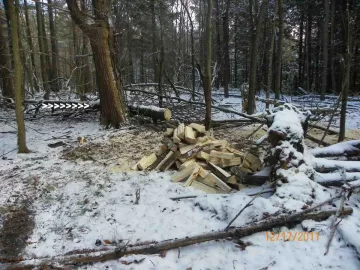 [Hearth.com] Splitting Done Today