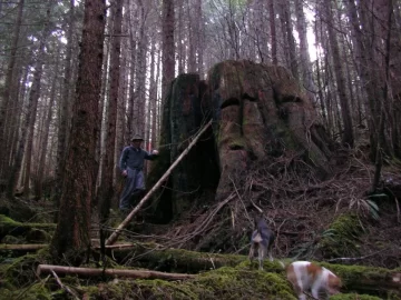 [Hearth.com] Went for a Hike