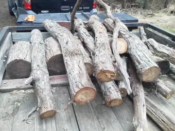 [Hearth.com] Unfamiliar wood.