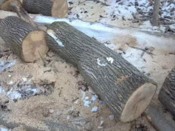 [Hearth.com] Wood ID?