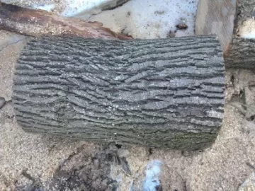 [Hearth.com] Wood ID?