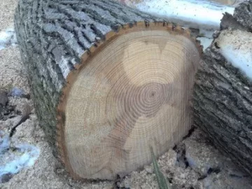 [Hearth.com] Wood ID?