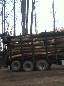 [Hearth.com] log land