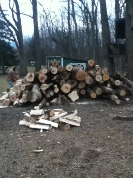 [Hearth.com] log land