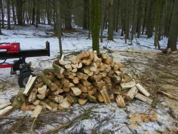 [Hearth.com] White Pine