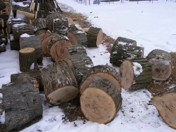 [Hearth.com] Got this wood yesterday