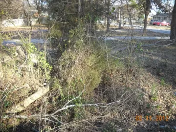 [Hearth.com] NW Georgia Wood ID 1