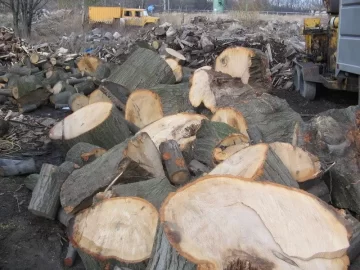 [Hearth.com] Monster white oak needs some TLC,if I can survive doing it in.