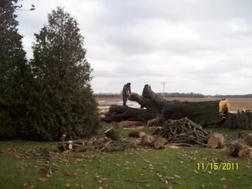 [Hearth.com] Monster white oak needs some TLC,if I can survive doing it in.