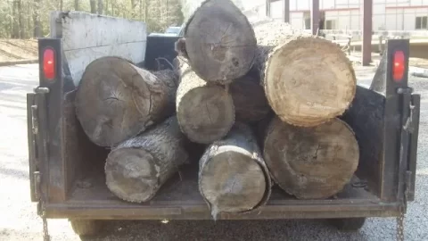 [Hearth.com] You never know until you ask.  Score again, pics.
