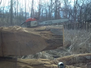 [Hearth.com] Sunday mornin' swamp loggin'