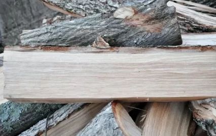[Hearth.com] What Kind of Wood is This?